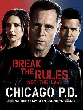 芝加哥警署 第二季第19集